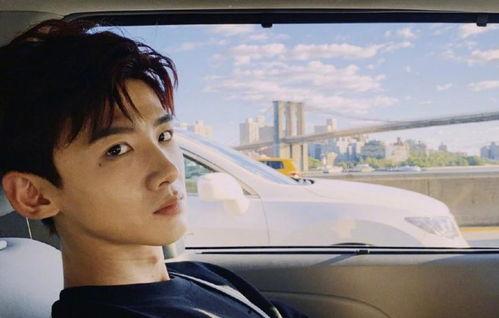 娱乐圈理性吃瓜白敬亭,娱乐圈理性吃瓜者的智慧与坚守