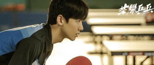 娱乐圈理性吃瓜白敬亭,娱乐圈理性吃瓜者的智慧与坚守